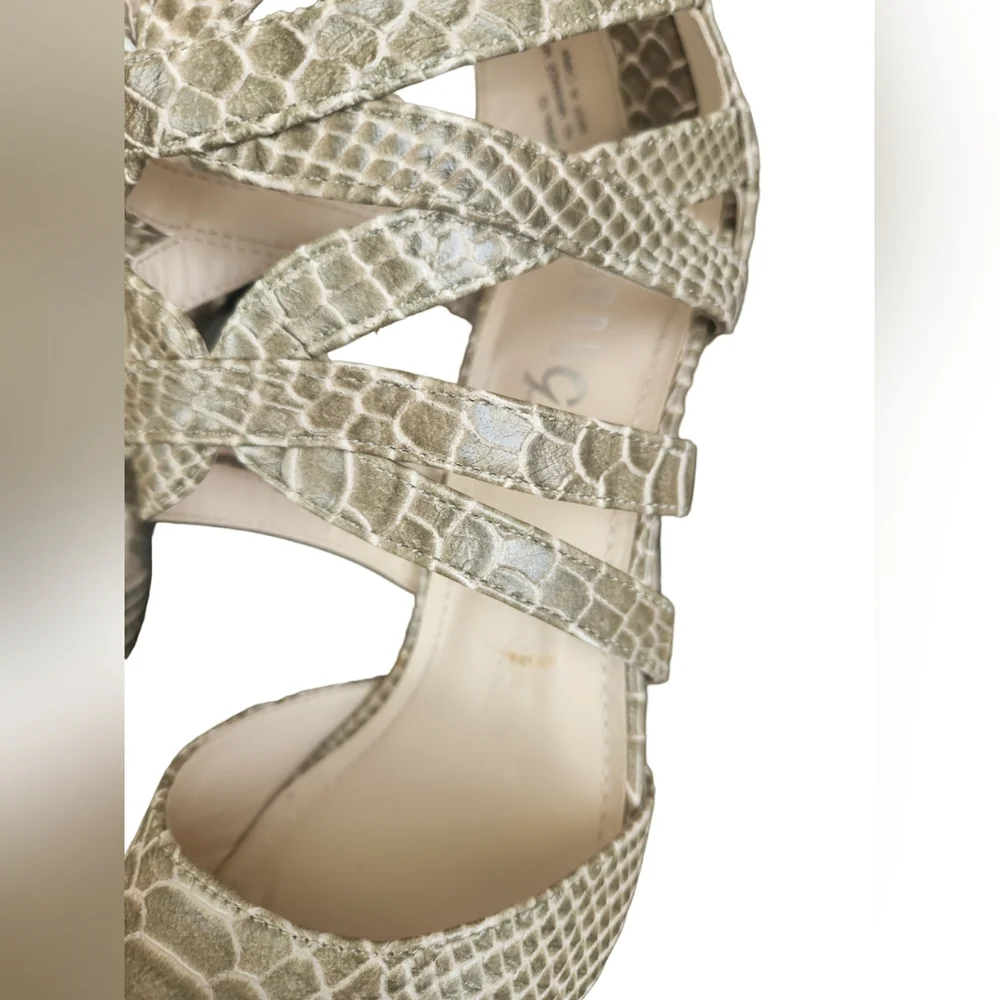 Rouge Helium Zip Up Gator Heels - Picture 9 of 16